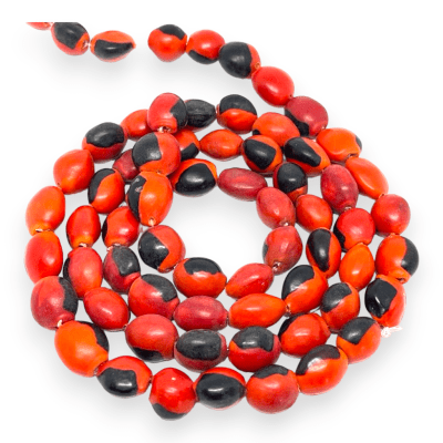 Semilla huayruru peonía protección 10 mm / 15 uds