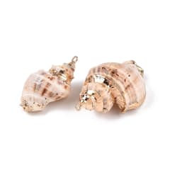 Dije colgante maxi caracol atlántico concha mar / unidad 0