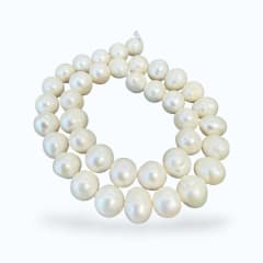 Sarta abalorios cuentas perla natural cultivada semi rondell / tira 0