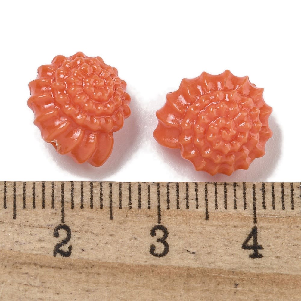 Dije pasador concha de mar caracol coral  / unidad2