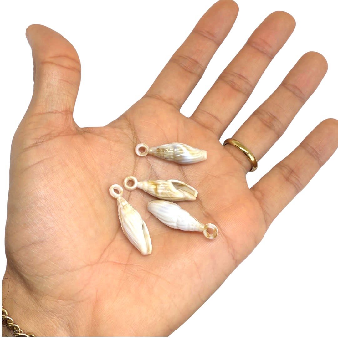 Dije pasador concha de mar caracol alargado acrílico / unidad2