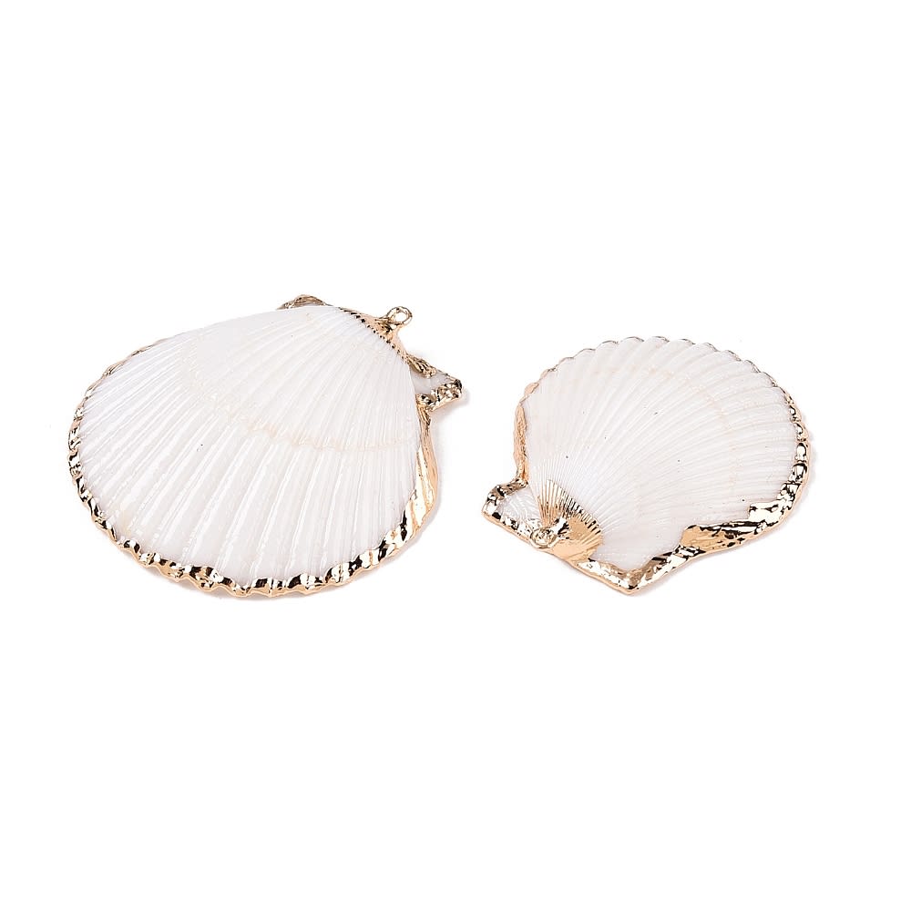 Dije colgante maxi concha mar ostra 38 mm  / unidad1