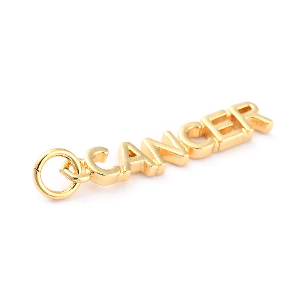 Dije colgante palabra signos zodiacales baño oro / unidad2