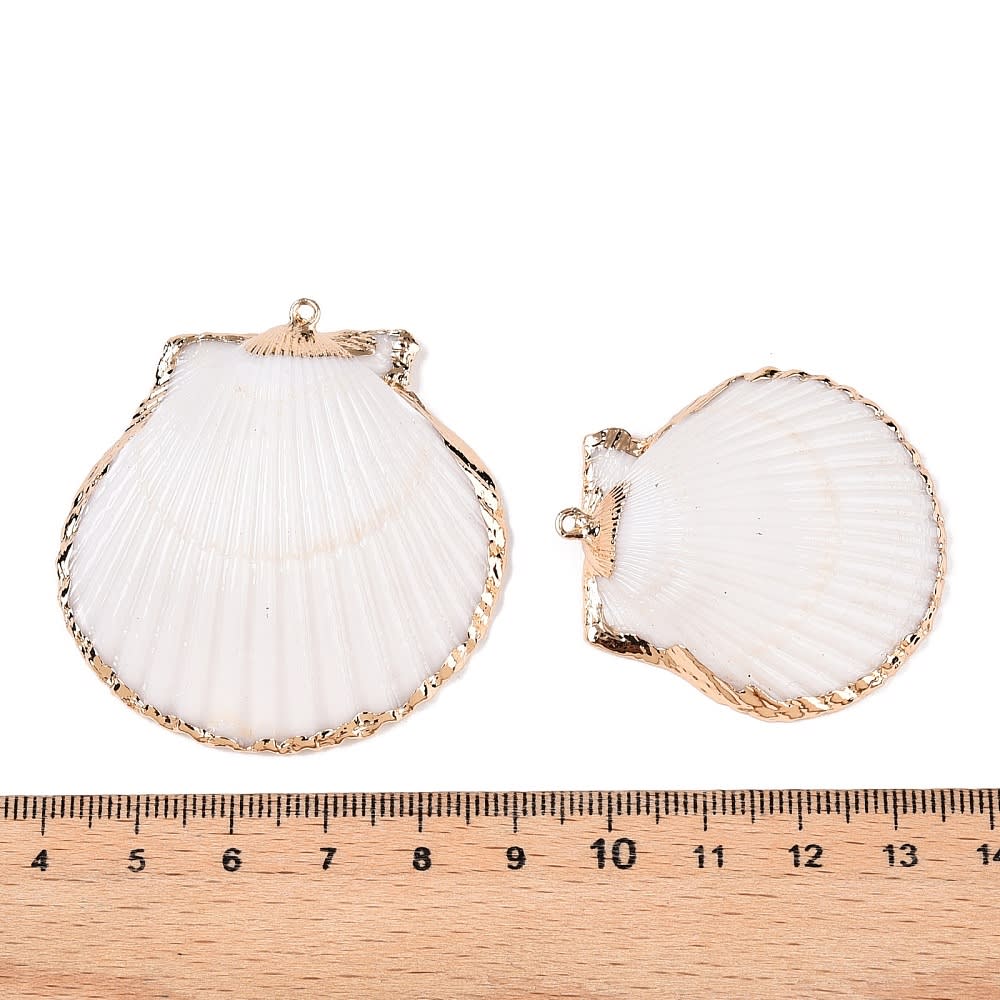 Dije colgante maxi concha mar ostra 38 mm  / unidad3