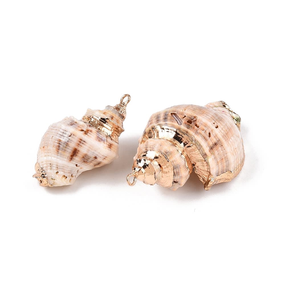 Dije colgante maxi caracol atlántico concha mar / unidad1