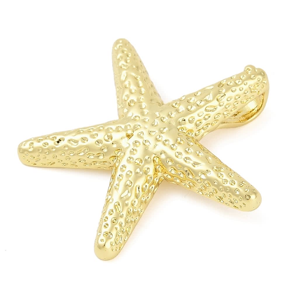 Maxi dije pasador estrella de mar 30 mm baño de oro / unidad2