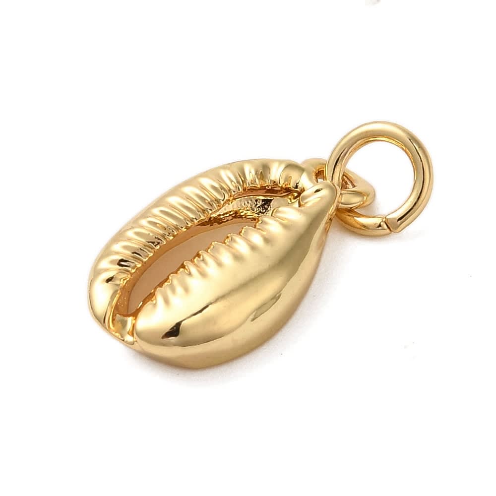 Dije colgante concha cauri mar 14.5 mm baño de oro / unidad2