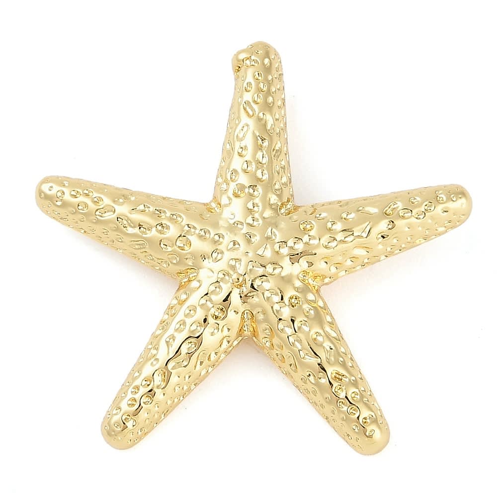 Maxi dije pasador estrella de mar 30 mm baño de oro / unidad1