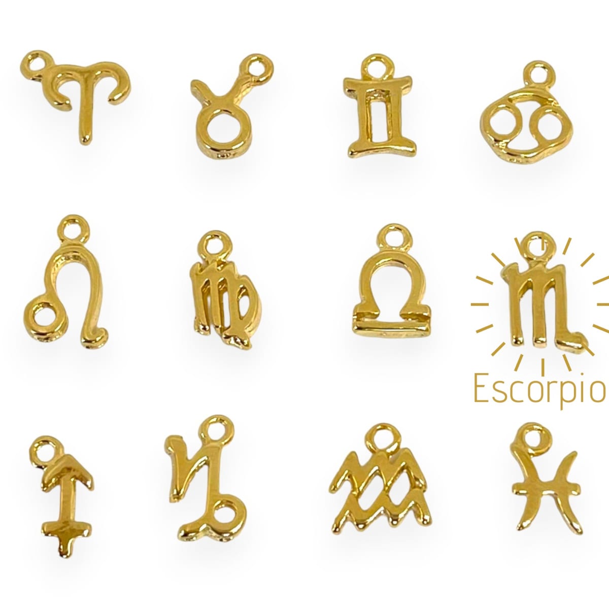 Mini dijes signos zodiacales 10 mm gold-filled / unidad6