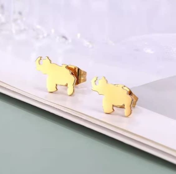 Aros topo topito mapa de venezuela 10 mm acero / par2