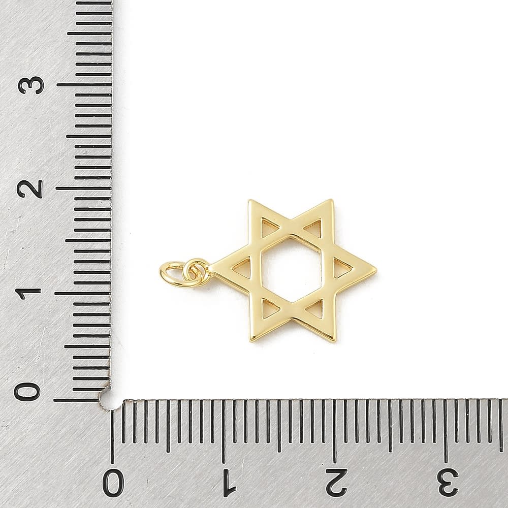Dije colgante estrella david 18x13.5 mm baño de oro platino / unidad4
