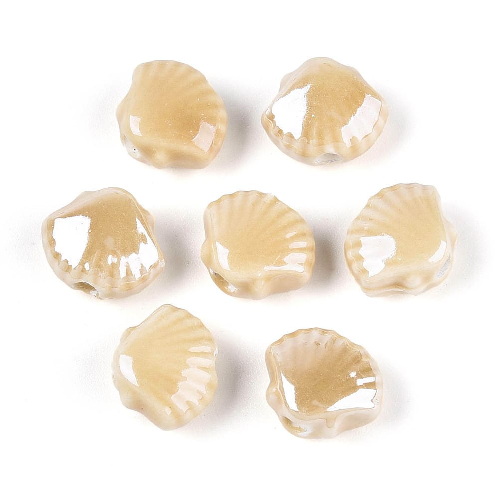 Pasador ostra concha de mar porcelana / unidad5