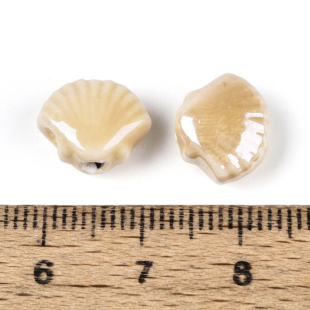 Pasador ostra concha de mar porcelana / unidad3