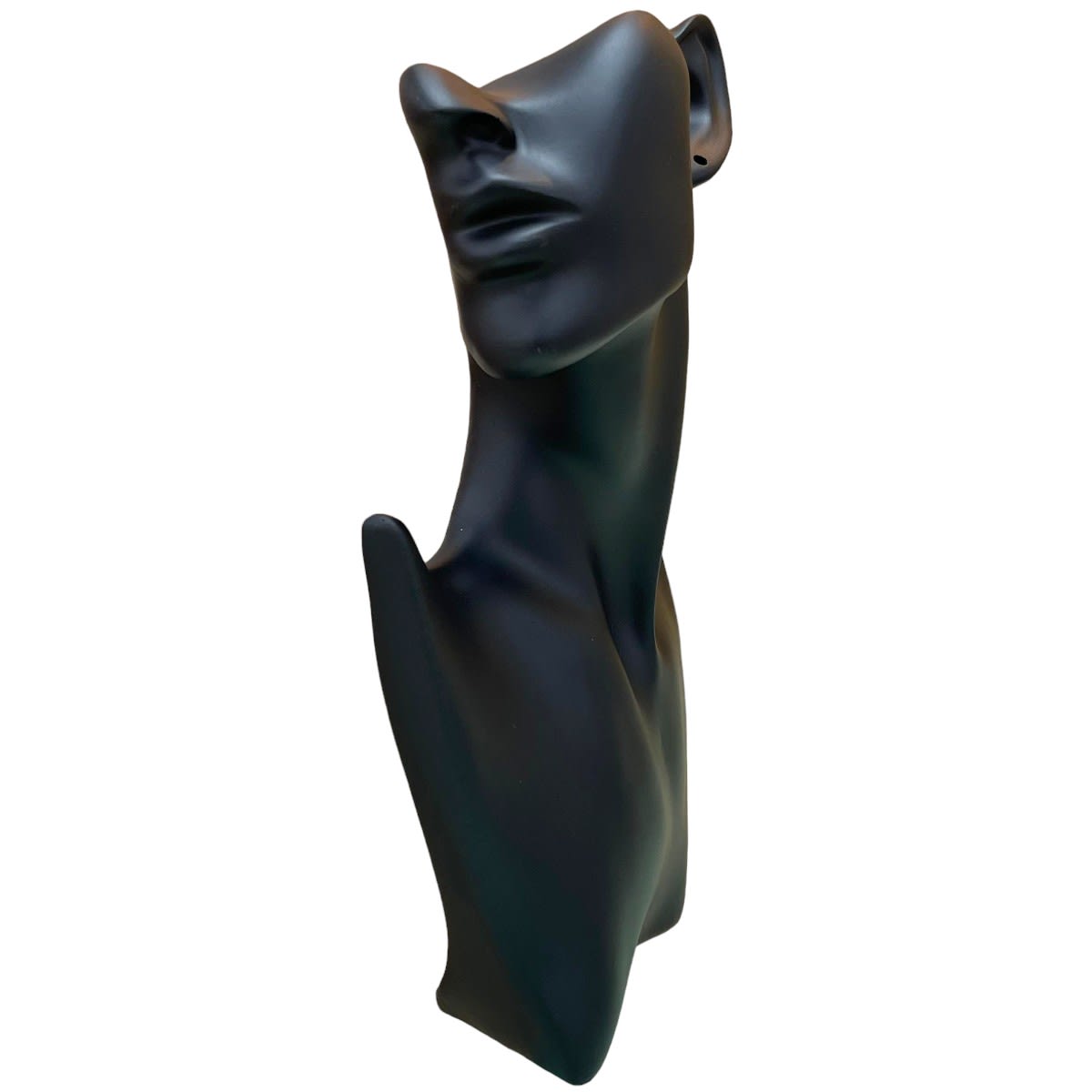 Exhibidor mostrario cuello busto de resina de alta gama / unidad9