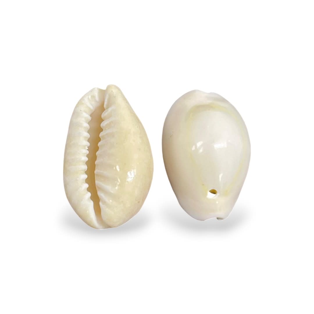 Dije colgante concha mar de cauri natural2