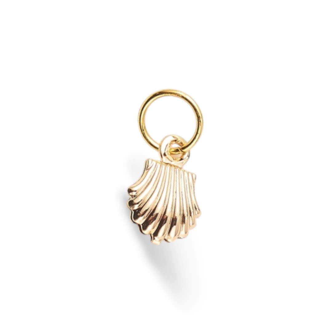 Dije colgante concha mar caracol timón cocotero ostra / unidad3