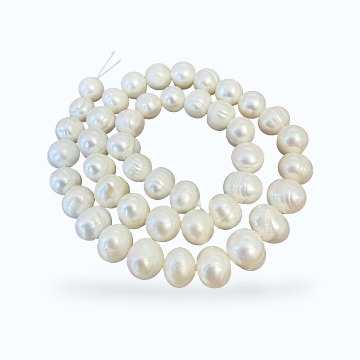 Sarta abalorios cuentas perla natural cultivada semi rondell / tira4