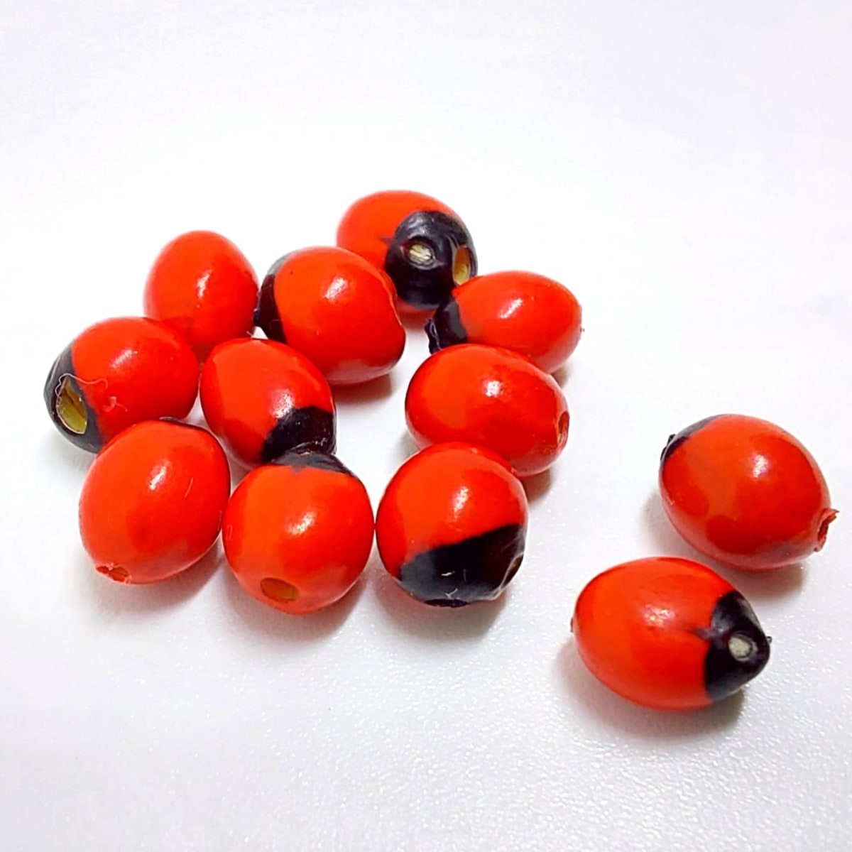 Semilla huayruru peonía protección 5 mm / 20 uds2