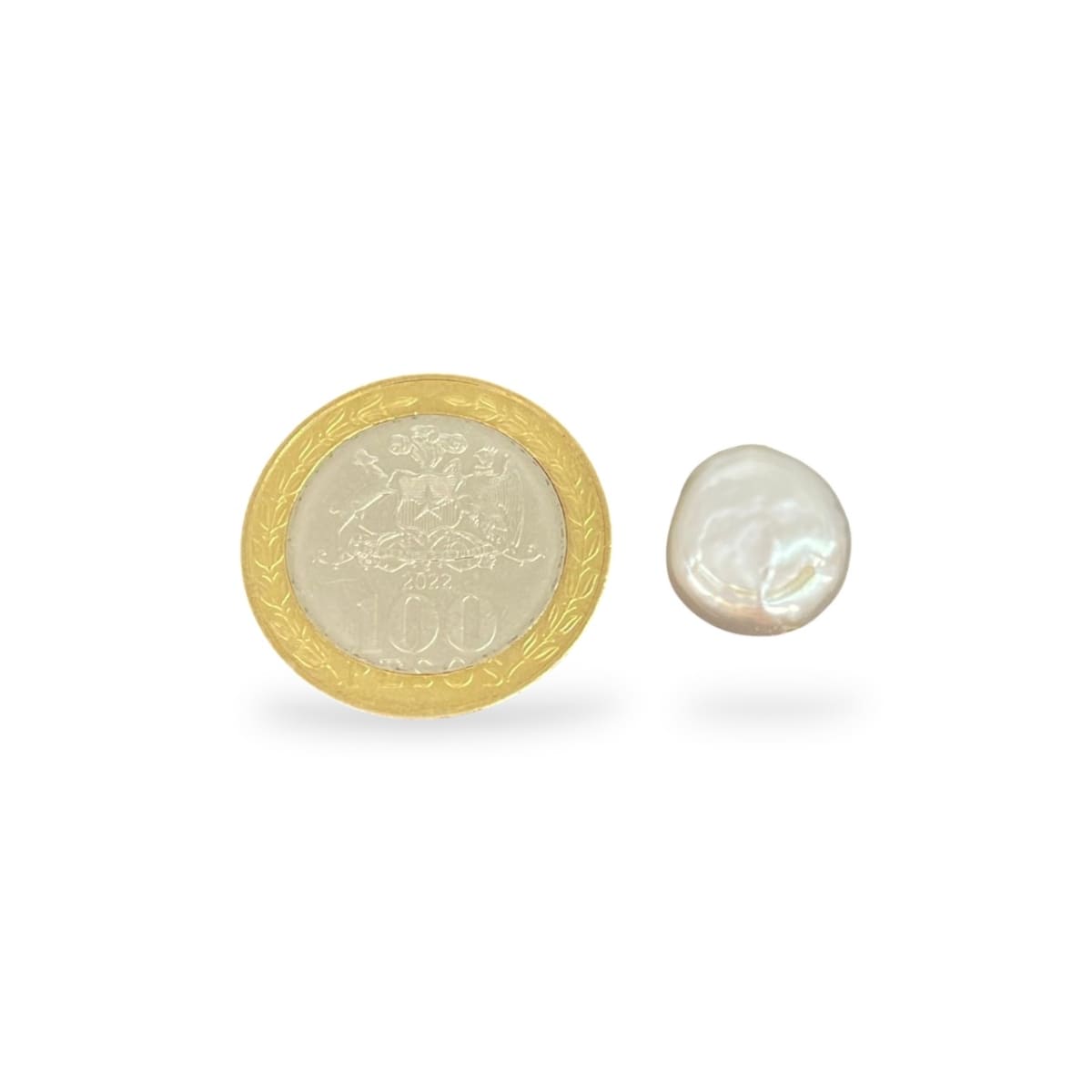 Cuenta abalorios perla natural plana redonda 10 mm keshi / unidad4