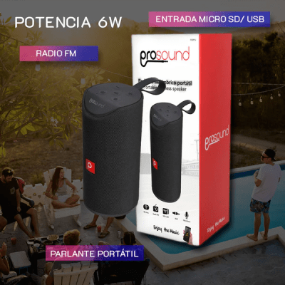 PARLANTE INALAMBRICO PROSOUND WARELESS P391N