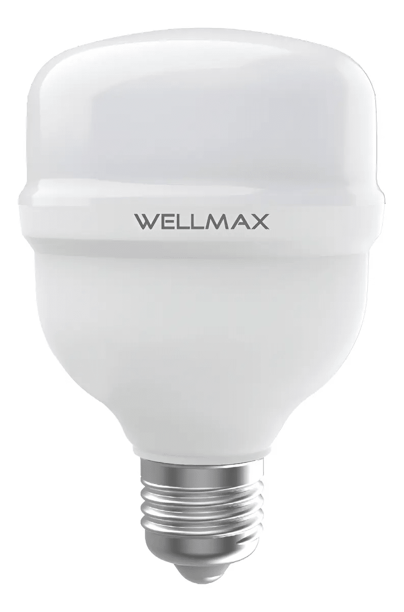 AMPOLLETA LED WELLMAX 18W LUZ FRIA2