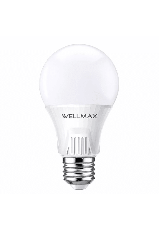 AMPOLLETA LED WELLMAX 23W LUZ FRIA E27 CON CHIP1