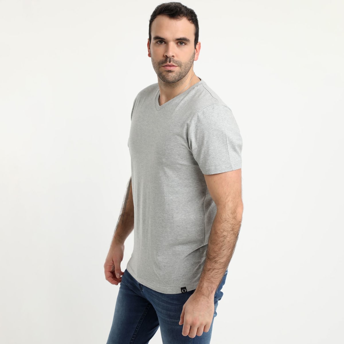 POLERA CUELLO EN V GRIS LI090N0021