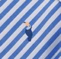 CAMISA DE VESTIR V3130N0015