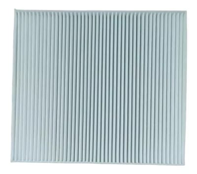 Filtro De Polen Hyundai Accent/tucson 2.0/rio 1.4/soluto 1.4