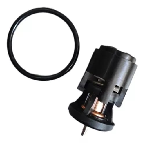 Termostato Sin Tapa Gol G5, G6, G7 0