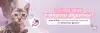 title
