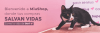 Vida Salvada