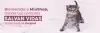 title