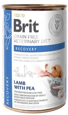 Brit GF Vet Diet - Recovery