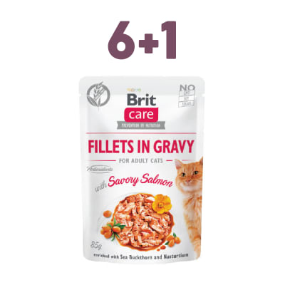 Brit Care - Fillets in Gravy Savory Salmon 6+1