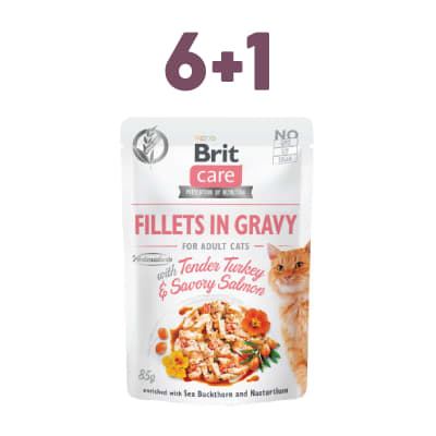 Brit Care - Fillets in Gravy Tender Turkey & Savory Salmon 6+1