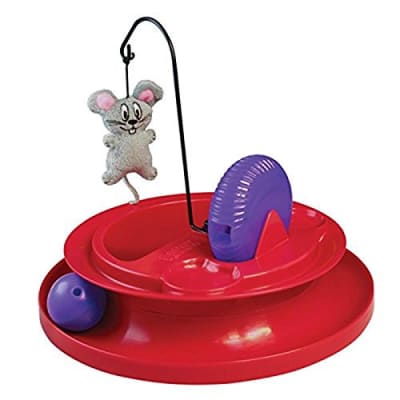 Kong - Playground