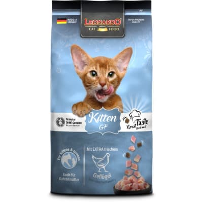 Leonardo - GF Kitten1