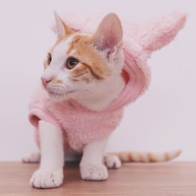 MiuPolera Miu 2022 - Amanecer