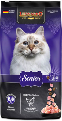 Leonardo - Senior