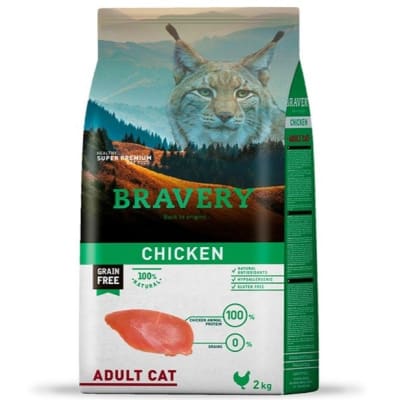 Bravery - Chicken Adult1
