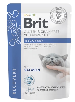 Brit GF Vet Diet - Recovery Pouch1