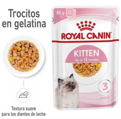 Royal Canin - FHN Kitten Jelly1