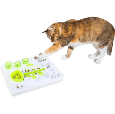 AFP - Interactives Fish Puzzle