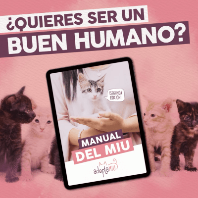 Manual Del Miu