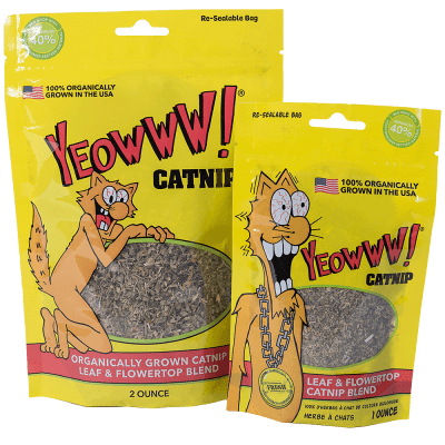 Yeowww! - Catnip1