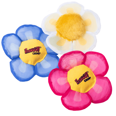 Yeowww! - Daisy Flower Top