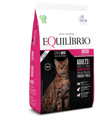 Equilibrio - Adulto