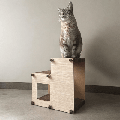 La Jato del Gato - Jato Chicha Desnivel1