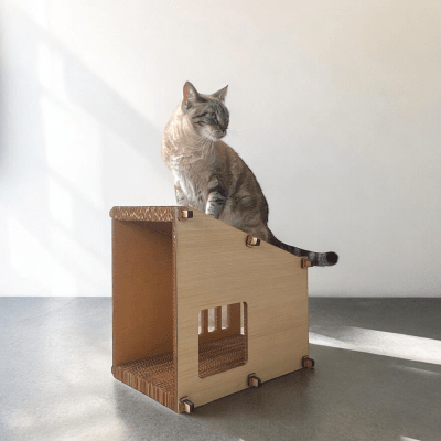 La Jato del Gato - Jato Chicha Inclinada